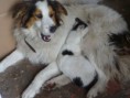 /album/fotogaleria/octubre2010-004-jpg/